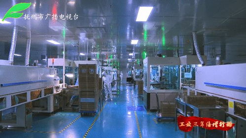 聚焦新兴产业 优化营商环境 助力高质量发展